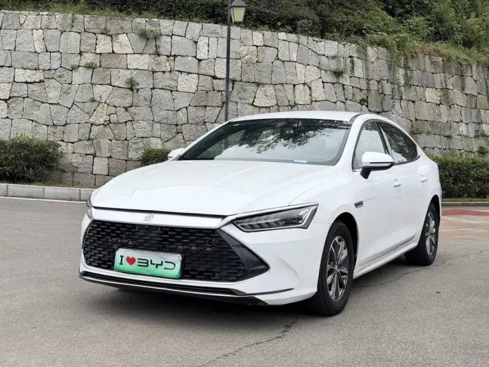 BYD Qin PLUS DM 2024 Model Honor Edition DM-i 55KM Leading Model – фото 1