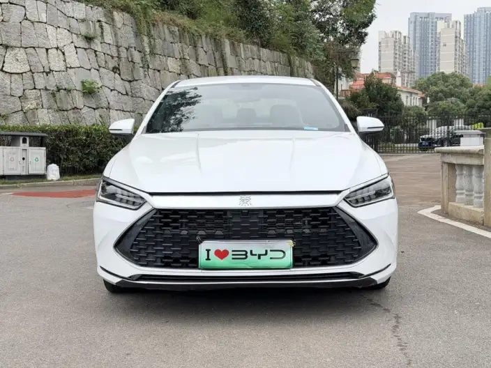 BYD Qin PLUS DM 2024 Model Honor Edition DM-i 55KM Leading Model – фото 2