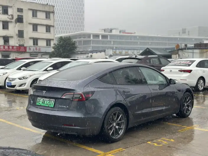 Model 3 2022 Model Rear-wheel drive version – фото 6