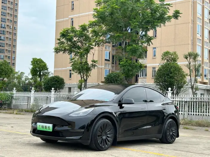 Model Y 2021 Model Standard Battery Life Rear-wheel drive version – фото 1