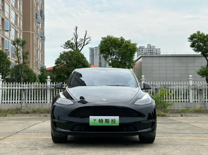 Model Y 2021 Model Standard Battery Life Rear-wheel drive version – фото 2