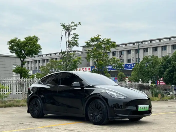 Model Y 2021 Model Standard Battery Life Rear-wheel drive version – фото 3