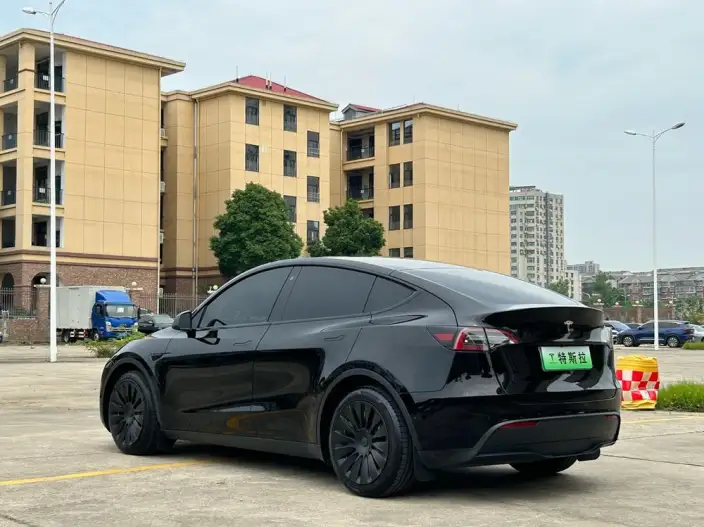 Model Y 2021 Model Standard Battery Life Rear-wheel drive version – фото 4