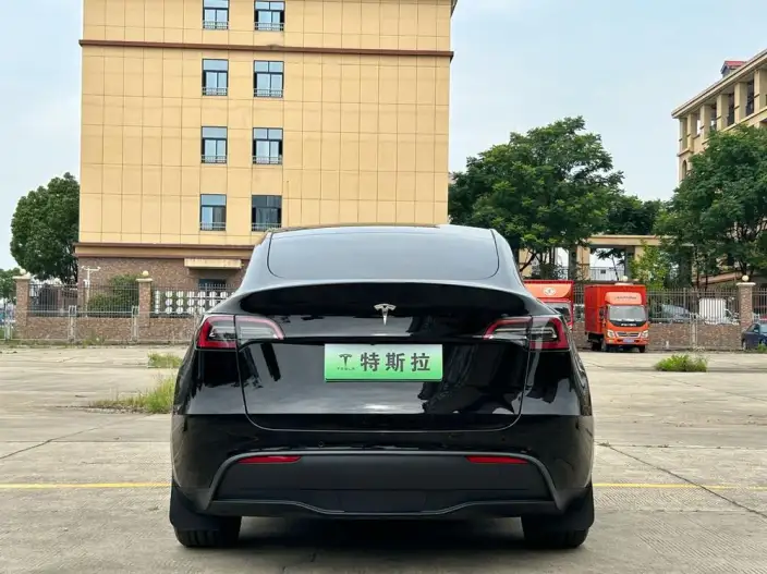 Model Y 2021 Model Standard Battery Life Rear-wheel drive version – фото 5