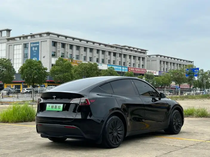 Model Y 2021 Model Standard Battery Life Rear-wheel drive version – фото 6
