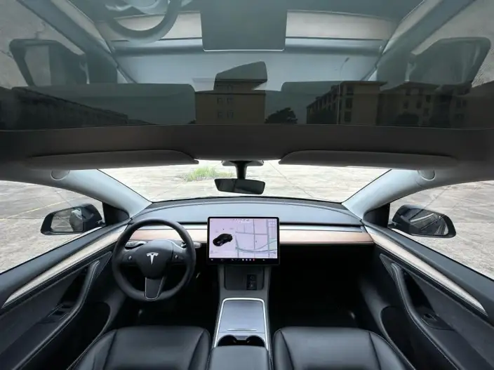 Model Y 2021 Model Standard Battery Life Rear-wheel drive version – фото 7