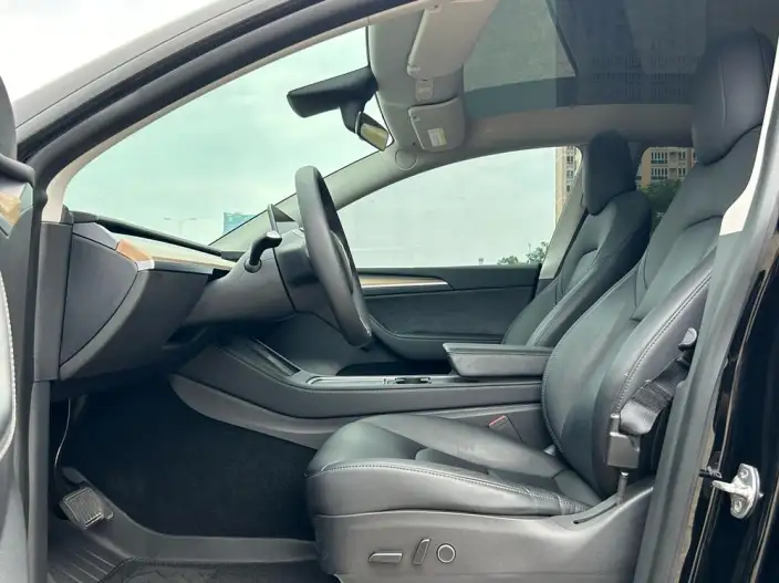 Model Y 2021 Model Standard Battery Life Rear-wheel drive version – фото 9