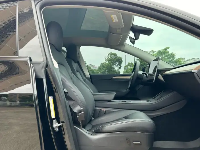 Model Y 2021 Model Standard Battery Life Rear-wheel drive version – фото 10
