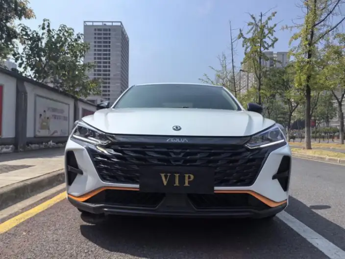 Yixuan 2023 Model Mach Version 1.5L Automatic Chasing the Wind version – фото 2