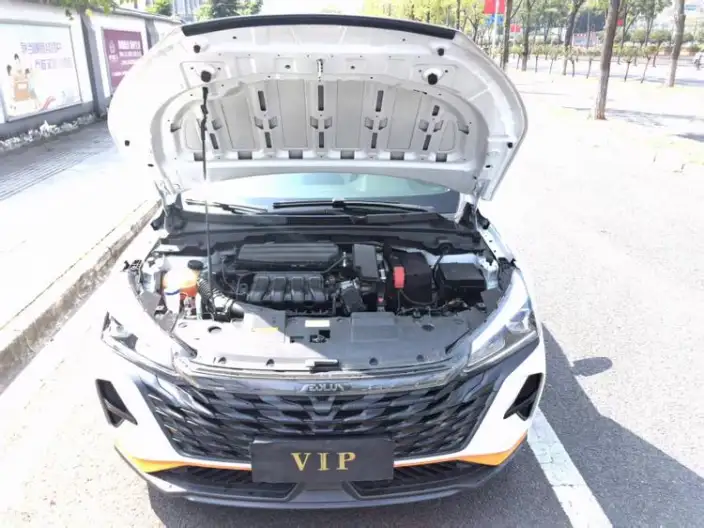 Yixuan 2023 Model Mach Version 1.5L Automatic Chasing the Wind version – фото 9