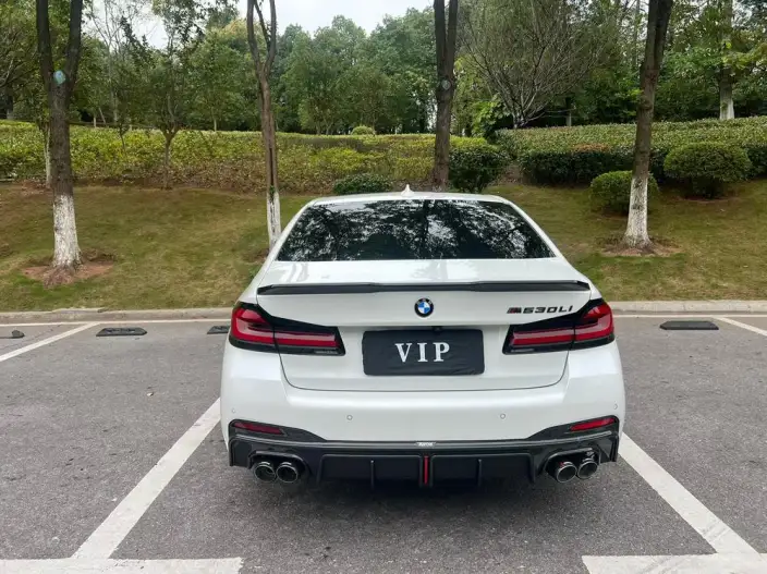 BMW 5 Series 2021 Model 530Li Exclusive Model M Sports Set – фото 5