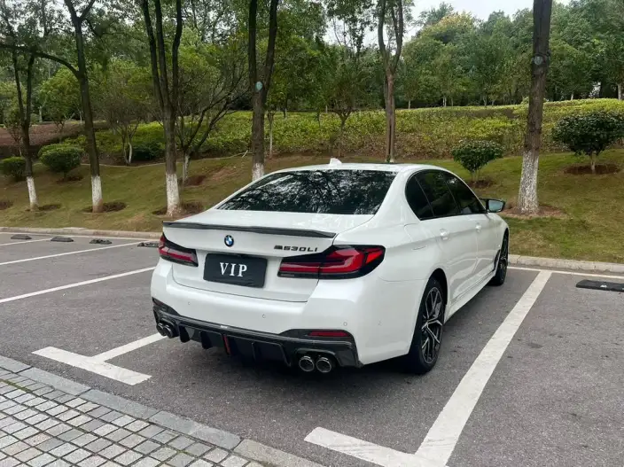 BMW 5 Series 2021 Model 530Li Exclusive Model M Sports Set – фото 6
