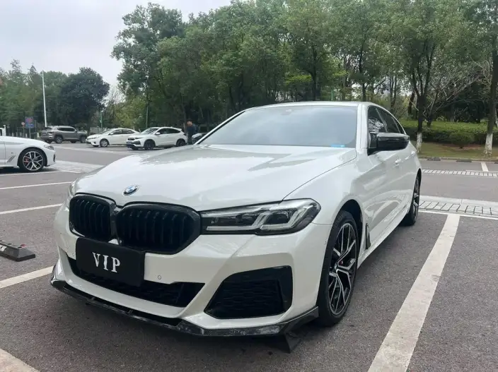 BMW 5 Series 2021 Model 530Li Exclusive Model M Sports Set – фото 10