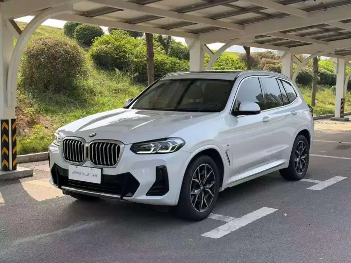 BMW X3 2022 Model xDrive25i M Sports Set – фото 1
