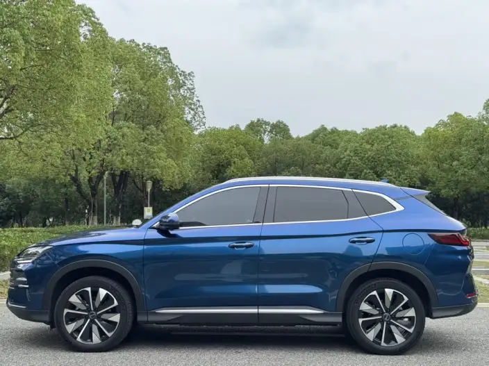 BYD Song PLUS DM 2025 Model DM-i 112KM Zunrong Model – фото 3