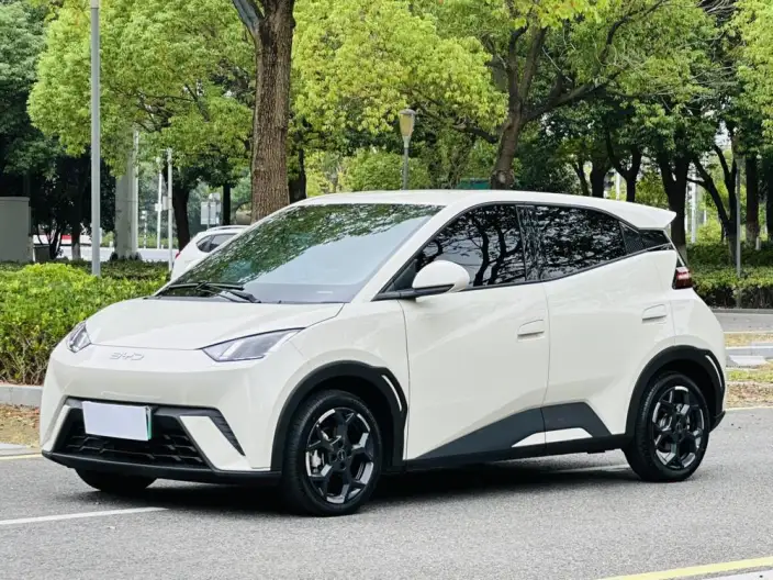 BYD Seagull 2024 Model Honor Edition 305KM Free Edition – фото 1