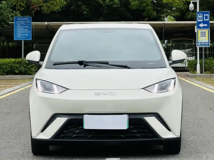 BYD Seagull 2024 Model Honor Edition 305KM Free Edition – фото 2