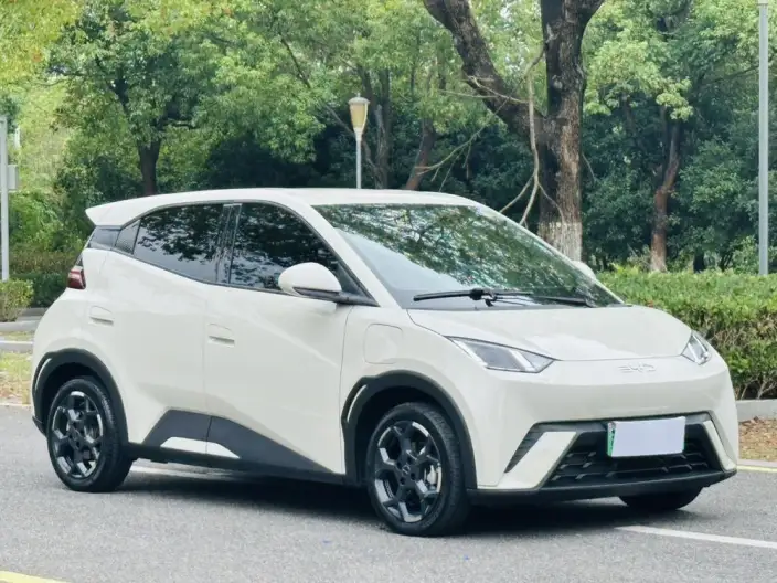 BYD Seagull 2024 Model Honor Edition 305KM Free Edition – фото 3