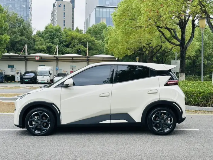 BYD Seagull 2024 Model Honor Edition 305KM Free Edition – фото 4