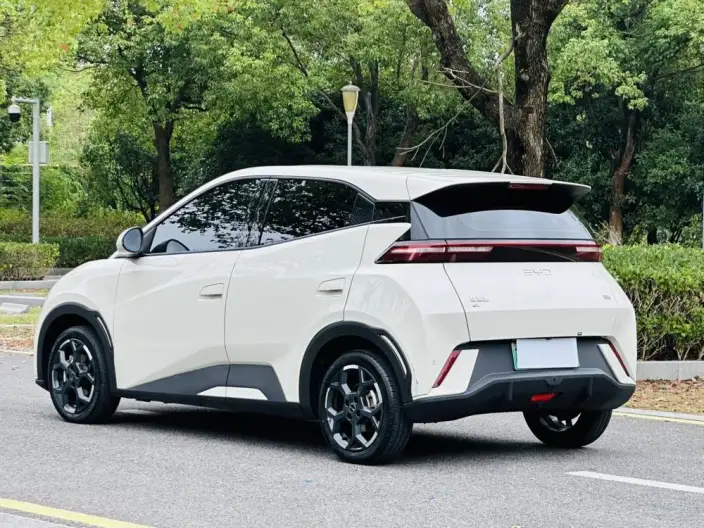 BYD Seagull 2024 Model Honor Edition 305KM Free Edition – фото 5