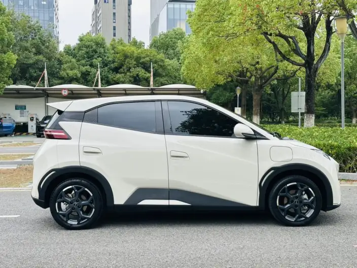 BYD Seagull 2024 Model Honor Edition 305KM Free Edition – фото 8