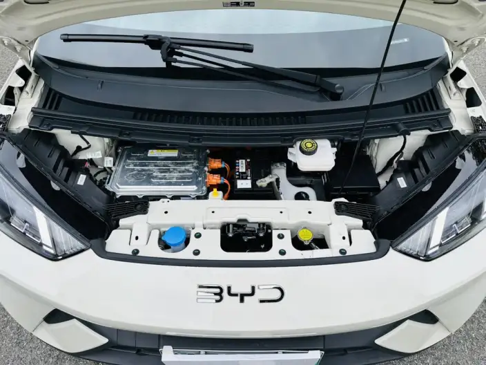 BYD Seagull 2024 Model Honor Edition 305KM Free Edition – фото 9