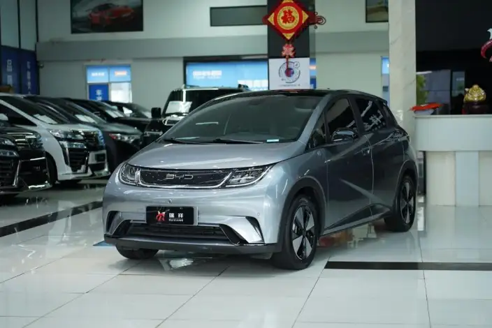 BYD Dolphin 2023 Model Fashion Edition – фото 1