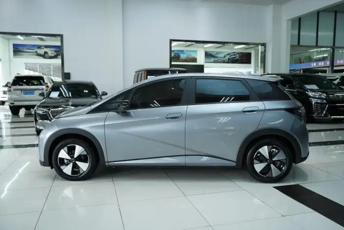 BYD Dolphin 2023 Model Fashion Edition – фото 4