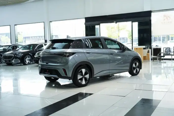 BYD Dolphin 2023 Model Fashion Edition – фото 6