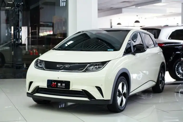 BYD Dolphin 2023 Model Fashion Edition – фото 1