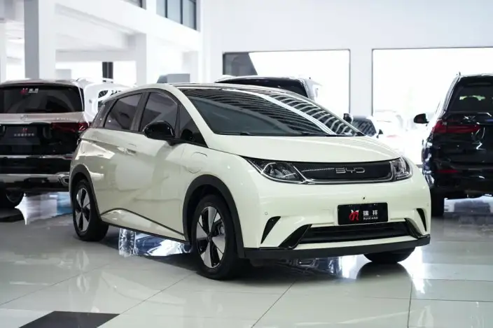 BYD Dolphin 2023 Model Fashion Edition – фото 3