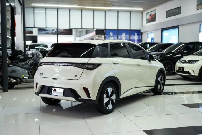 BYD Dolphin 2023 Model Fashion Edition – фото 5