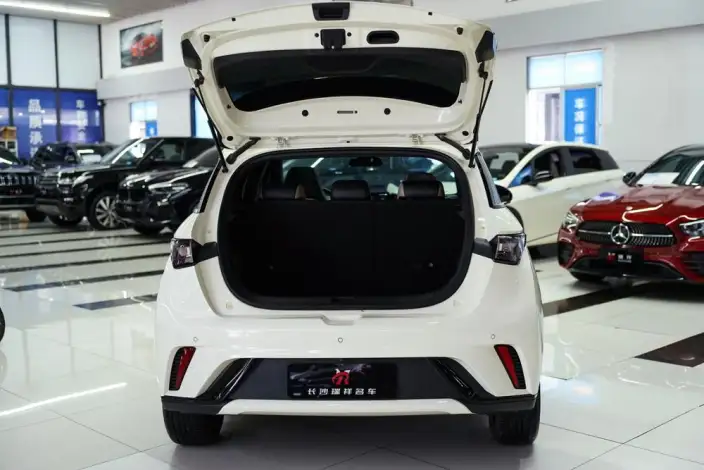 BYD Dolphin 2023 Model Fashion Edition – фото 8