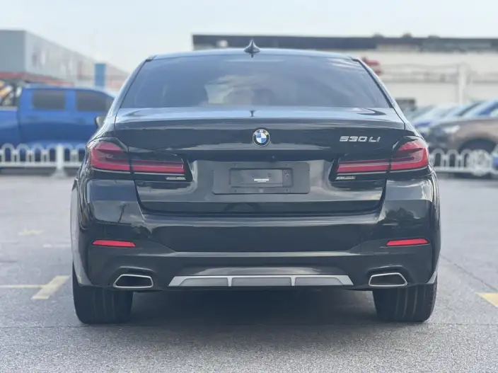 BMW 5 Series 2021 Model Facelift 530Li Leading Model M Sports Set – фото 5