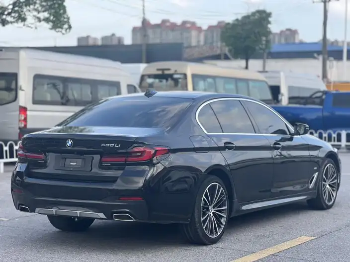 BMW 5 Series 2021 Model Facelift 530Li Leading Model M Sports Set – фото 6
