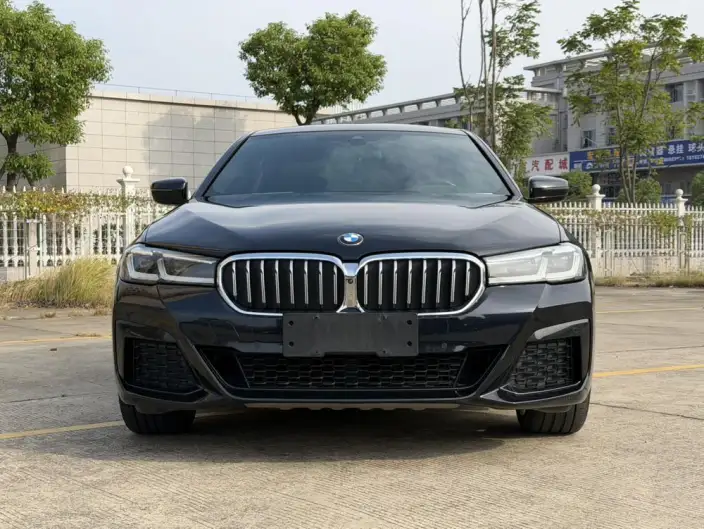 BMW 5 Series 2021 Model 530Li Exclusive Model M Sports Set – фото 2