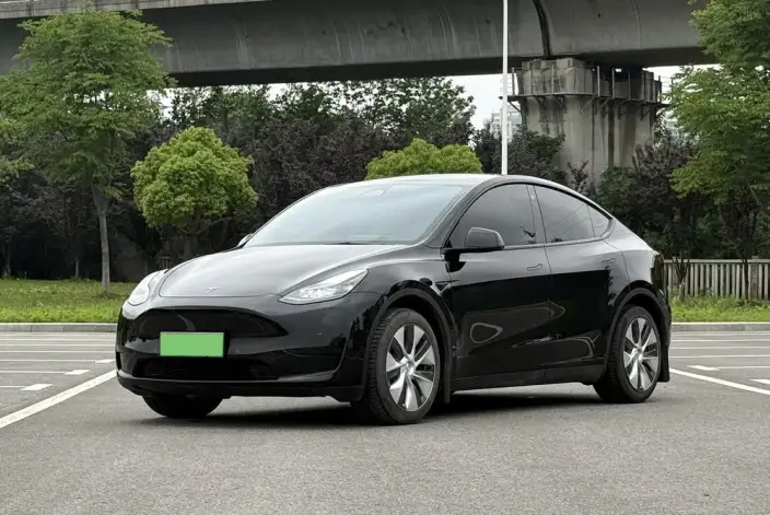 Model Y 2021 Model Standard Battery Life Rear-wheel drive version – фото 1