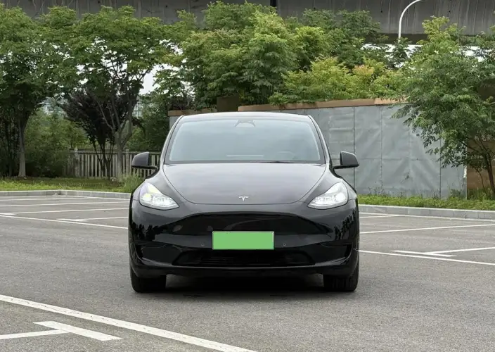 Model Y 2021 Model Standard Battery Life Rear-wheel drive version – фото 2