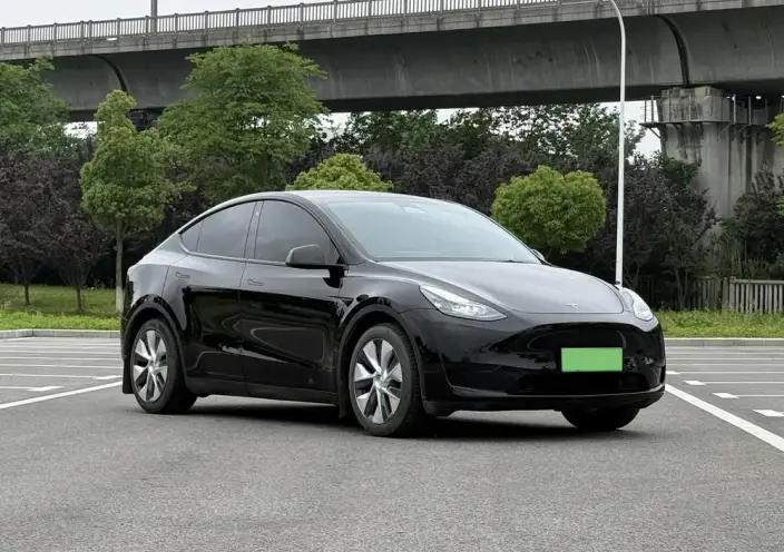 Model Y 2021 Model Standard Battery Life Rear-wheel drive version – фото 3