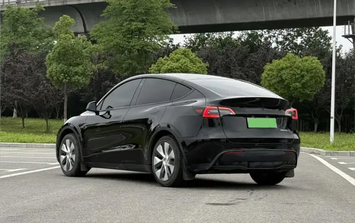 Model Y 2021 Model Standard Battery Life Rear-wheel drive version – фото 4