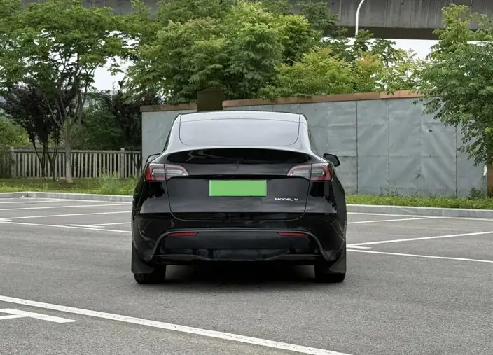 Model Y 2021 Model Standard Battery Life Rear-wheel drive version – фото 5