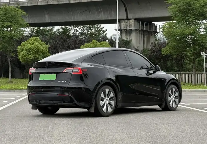 Model Y 2021 Model Standard Battery Life Rear-wheel drive version – фото 6