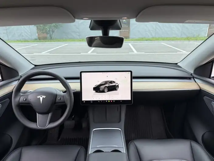 Model Y 2021 Model Standard Battery Life Rear-wheel drive version – фото 9