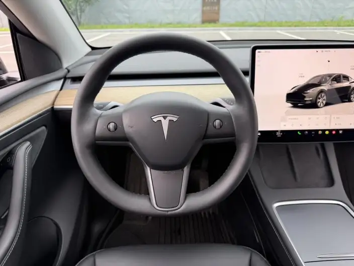 Model Y 2021 Model Standard Battery Life Rear-wheel drive version – фото 10