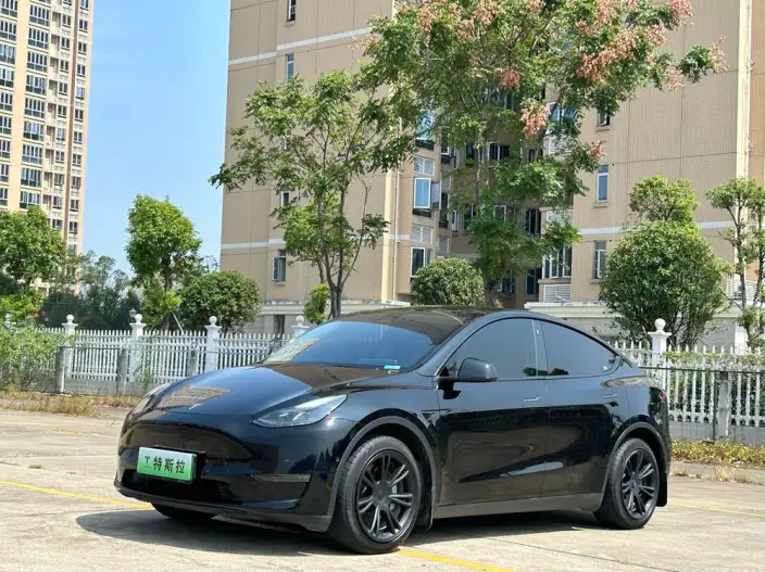 Model Y 2022 Model Long Battery Life Pro All-wheel drive version – фото 1