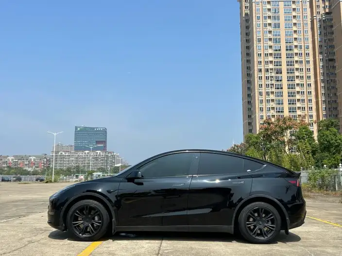 Model Y 2022 Model Long Battery Life Pro All-wheel drive version – фото 4