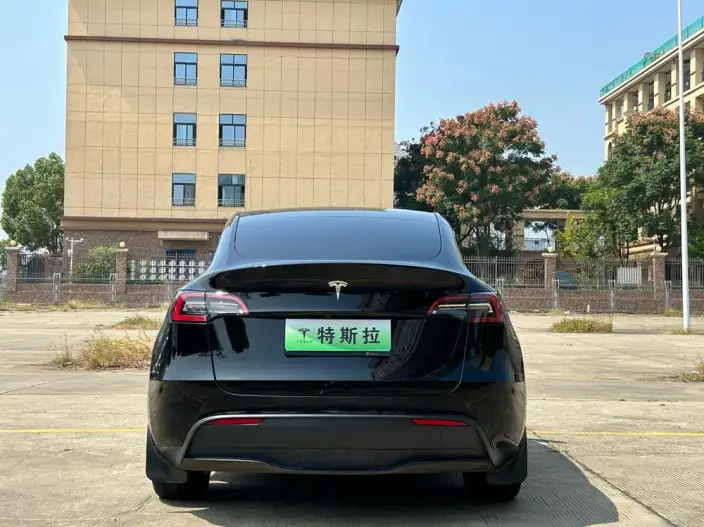 Model Y 2022 Model Long Battery Life Pro All-wheel drive version – фото 6