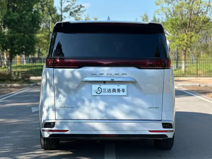 DENZA D9 DM 2022 Model 970 4WD Flagship Model – фото 5