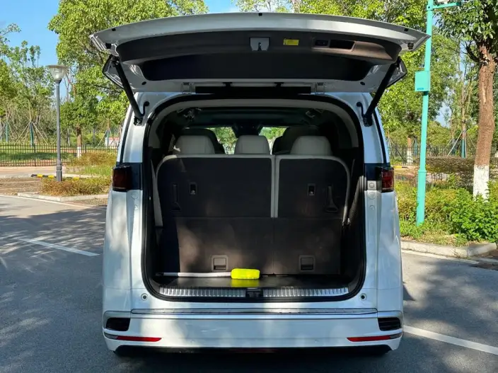 DENZA D9 DM 2022 Model 970 4WD Flagship Model – фото 10
