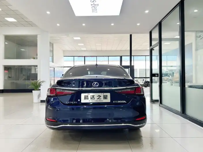 Lexus ES 2021 Model 300h Premium – фото 6